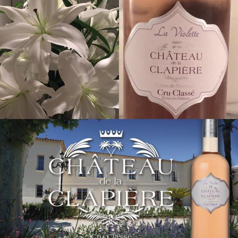Chateau De La Clapiere Йер Экстерьер фото